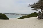 Carmel3